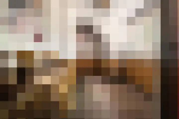 Nachtegalenlaan 12 Aerdenhout thumbnail 30