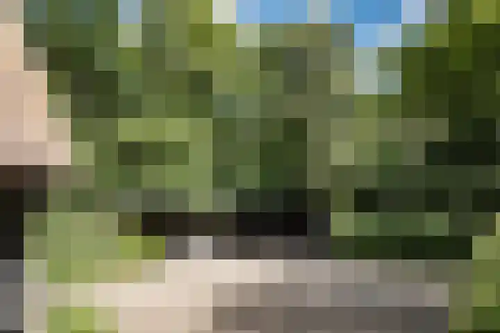 Nachtegalenlaan 12 Aerdenhout thumbnail 34