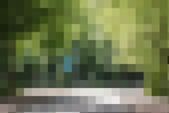 Nachtegalenlaan 12 Aerdenhout thumbnail 35