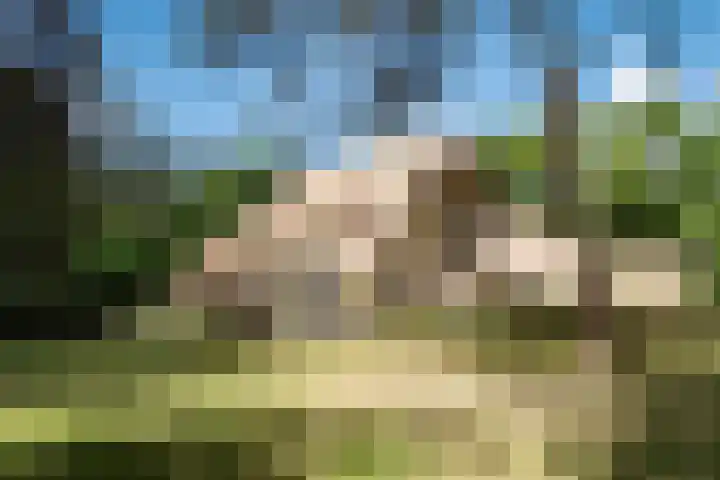 Nachtegalenlaan 12 Aerdenhout thumbnail 4