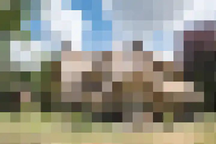 Nachtegalenlaan 12 Aerdenhout thumbnail 48