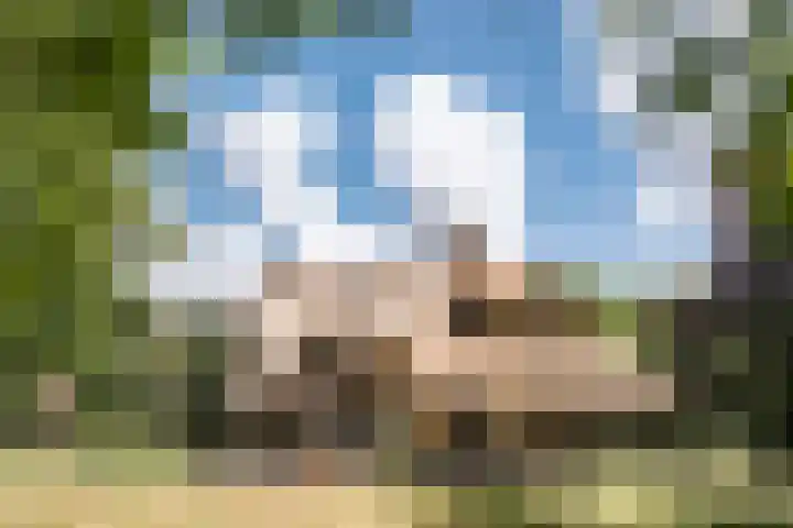 Nachtegalenlaan 12 Aerdenhout thumbnail 49
