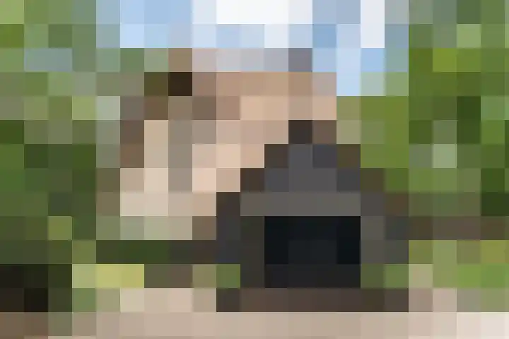 Nachtegalenlaan 12 Aerdenhout thumbnail 5