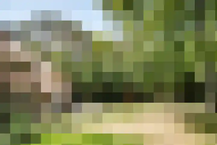 Nachtegalenlaan 12 Aerdenhout thumbnail 50