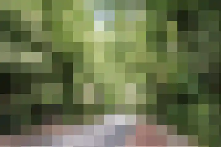 Nachtegalenlaan 12 Aerdenhout thumbnail 52
