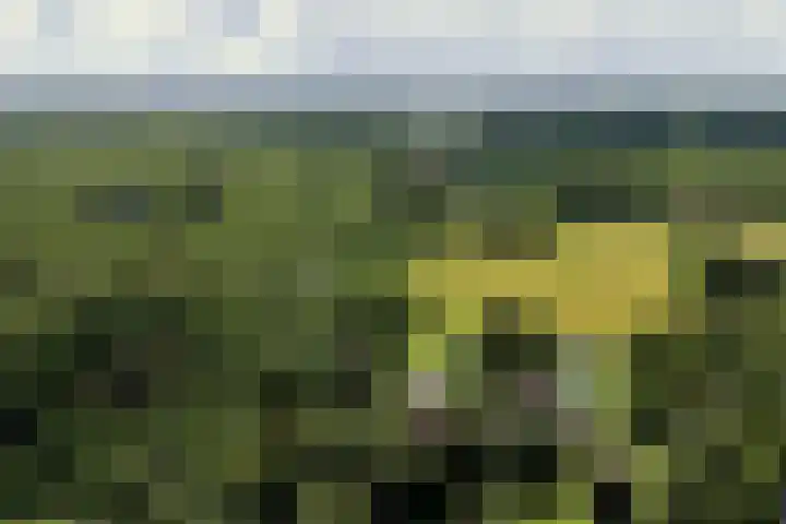 Nachtegalenlaan 12 Aerdenhout thumbnail 55