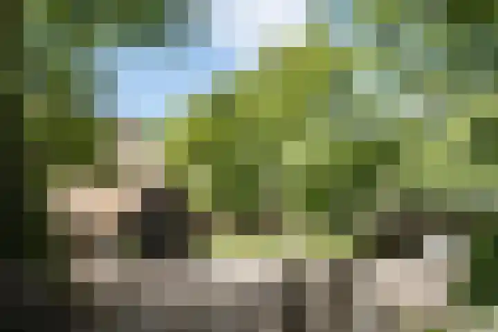 Nachtegalenlaan 12 Aerdenhout thumbnail 6