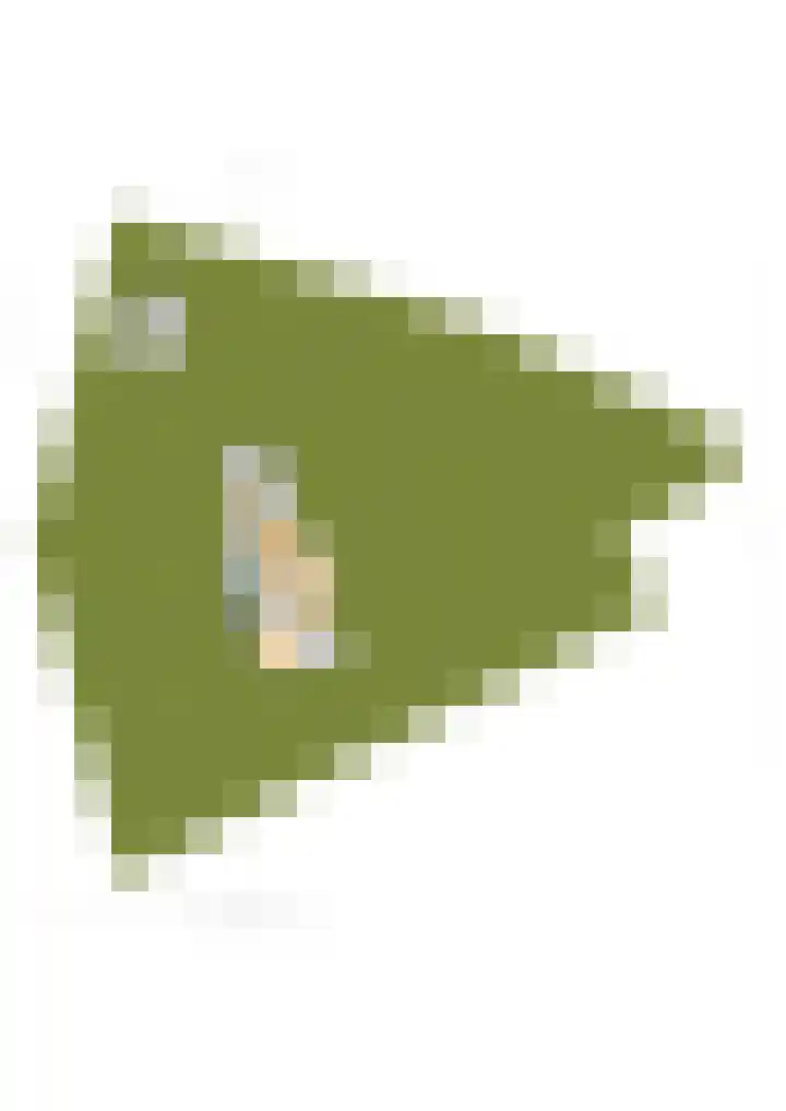 Nachtegalenlaan 12 Aerdenhout thumbnail 65