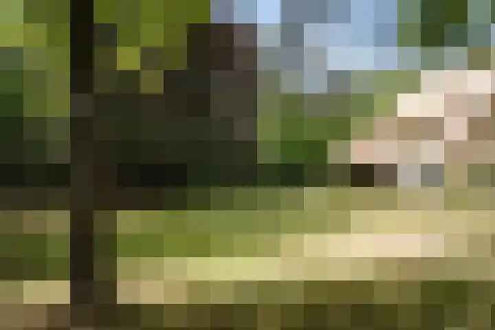 Nachtegalenlaan 12 Aerdenhout thumbnail 7