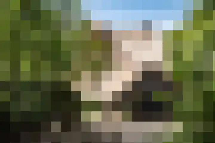 Nachtegalenlaan 12 Aerdenhout thumbnail 8