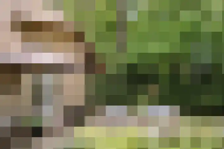 Nachtegalenlaan 12 Aerdenhout thumbnail 9