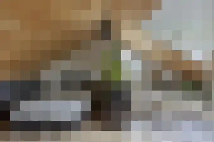 Nachtegalenlaan 16 Oostvoorne thumbnail 17