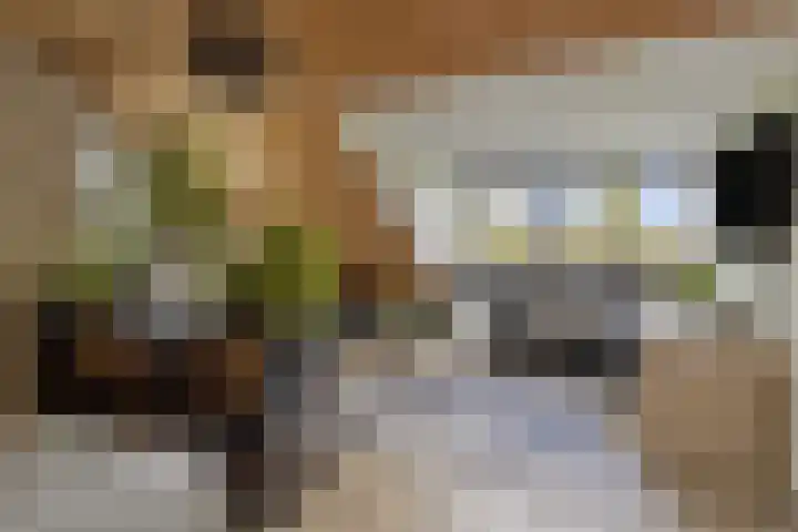 Nachtegalenlaan 16 Oostvoorne thumbnail 18
