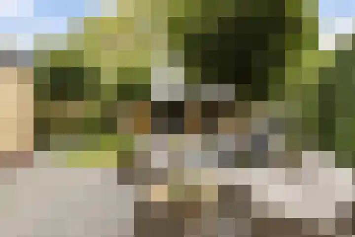 Nachtegalenlaan 16 Oostvoorne thumbnail 20