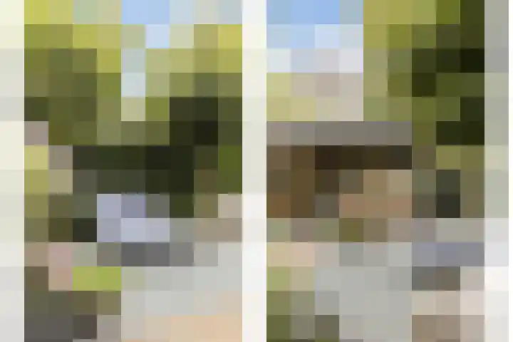 Nachtegalenlaan 16 Oostvoorne thumbnail 23