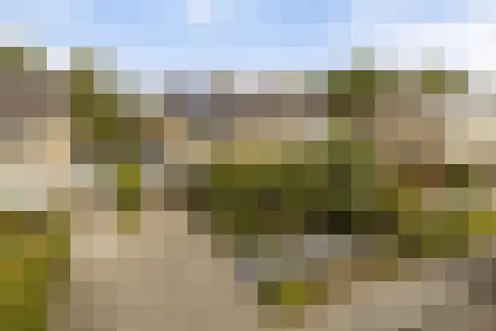 Nachtegalenlaan 16 Oostvoorne thumbnail 26