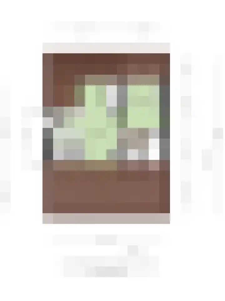 Nachtegalenlaan 16 Oostvoorne thumbnail 29