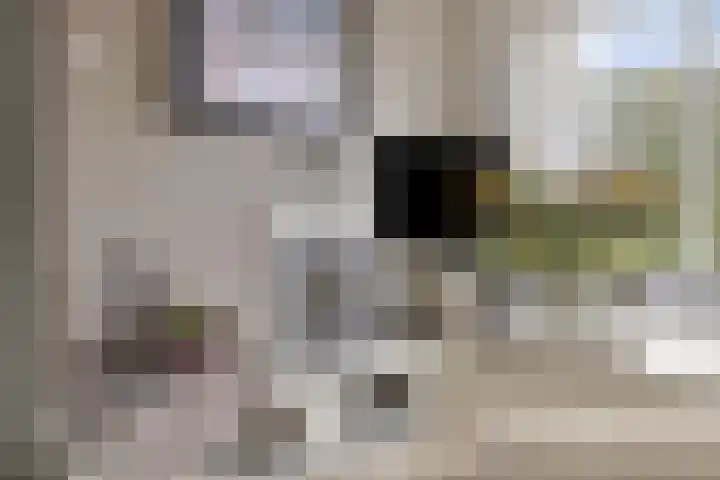 Nachtegalenlaan 16 Oostvoorne thumbnail 6