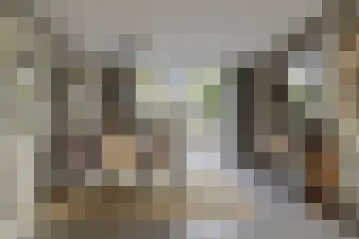 Nachtegalenlaan 16 Oostvoorne thumbnail 7