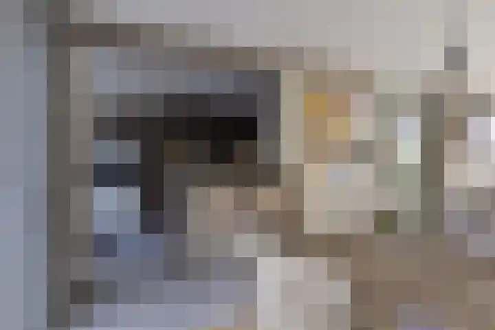 Nachtegalenlaan 16 Oostvoorne thumbnail 8