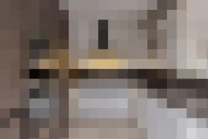 Nachtegalenlaan 16 Oostvoorne thumbnail 9