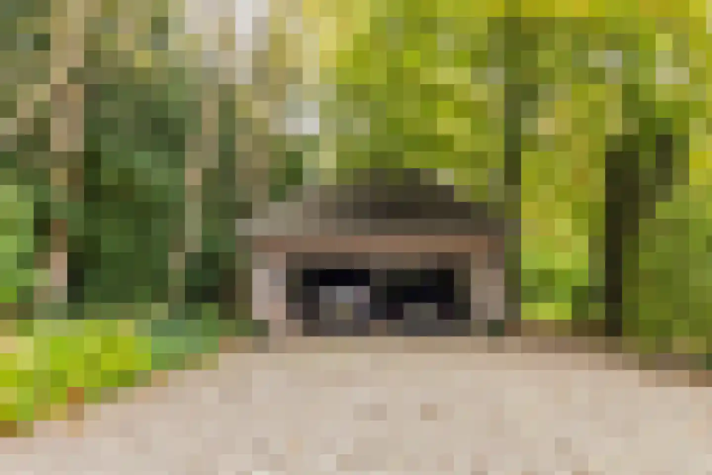 Nachtegalenlaan 17 Aerdenhout thumbnail 13