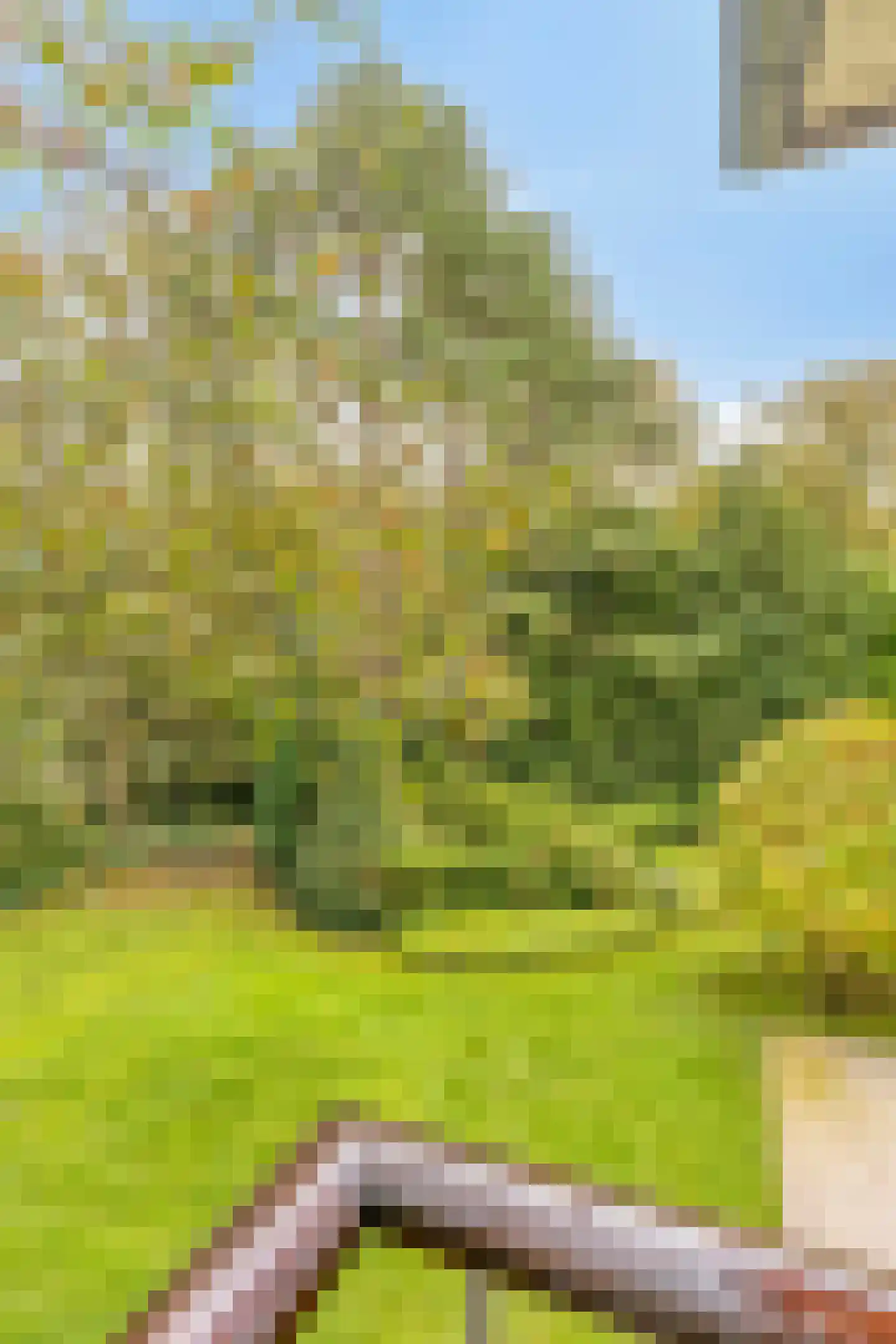 Nachtegalenlaan 17 Aerdenhout thumbnail 41