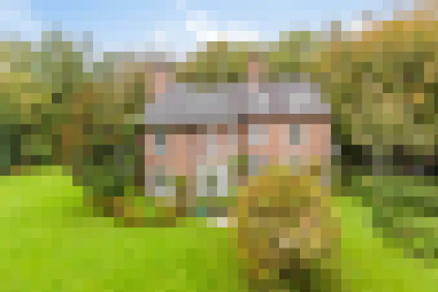 Nachtegalenlaan 17 Aerdenhout thumbnail 6