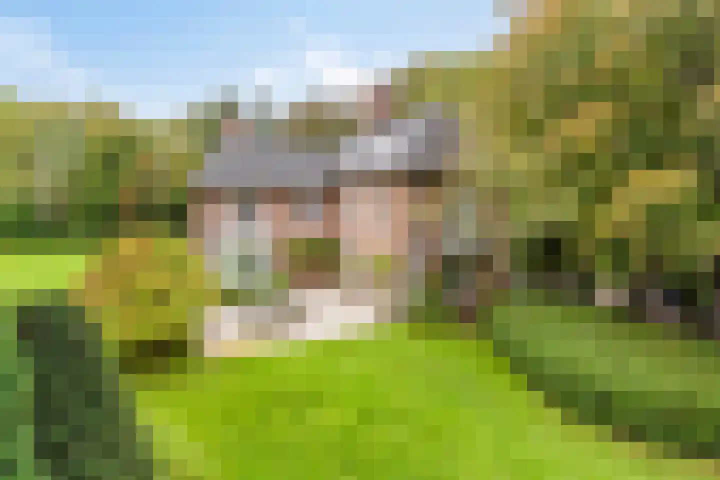 Nachtegalenlaan 17 Aerdenhout thumbnail 7