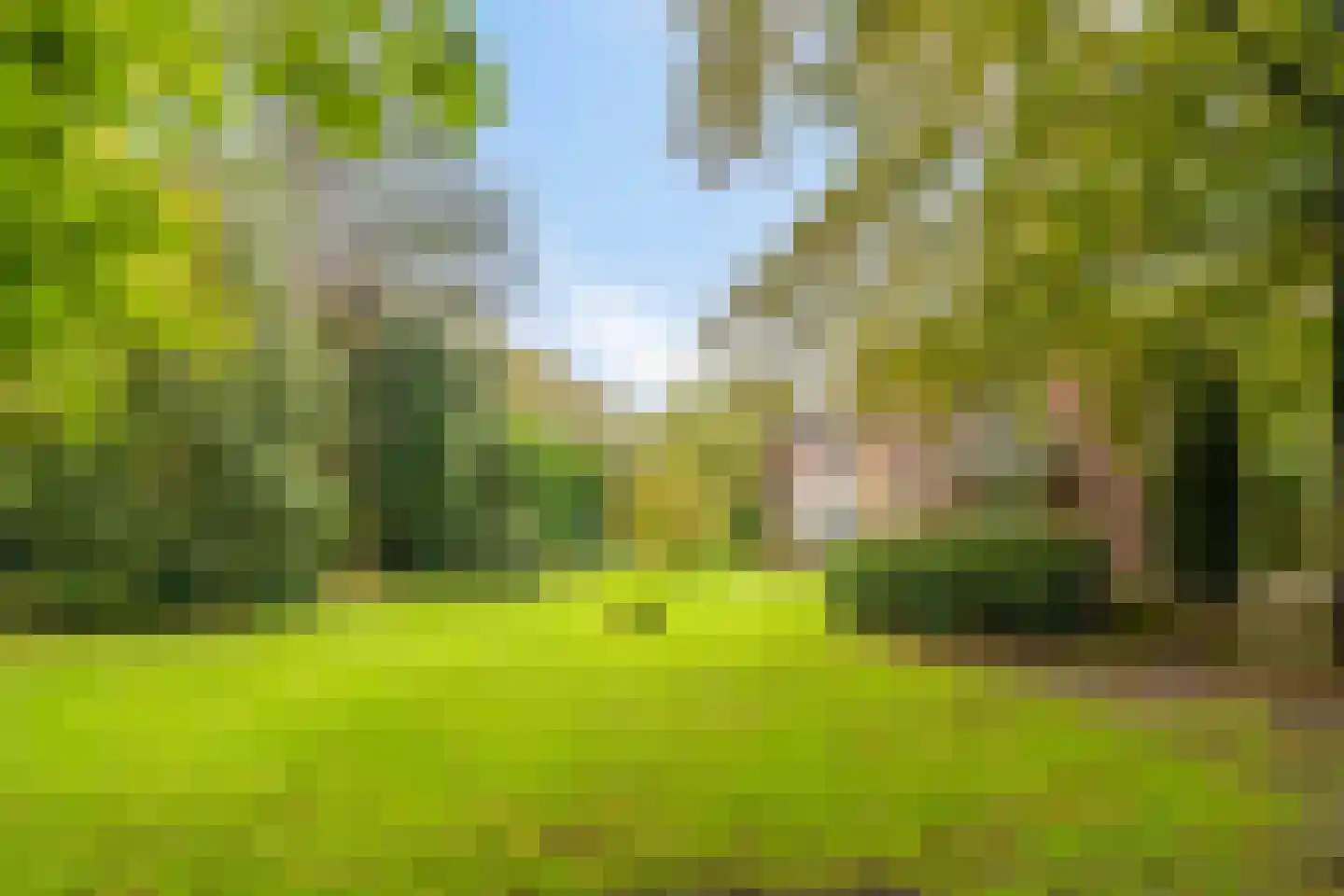 Nachtegalenlaan 17 Aerdenhout thumbnail 8