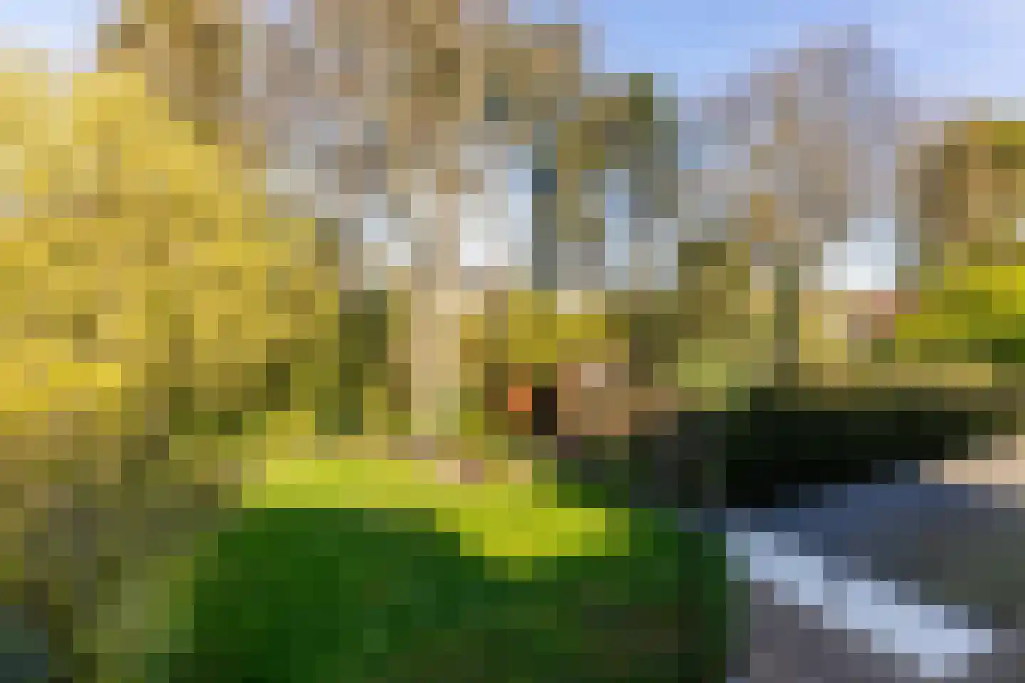 Nachtegalenlaan 32 Oostvoorne thumbnail 18