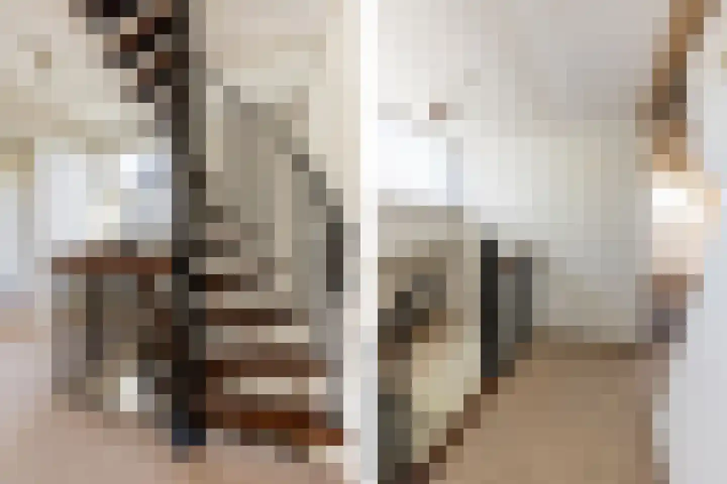 Nachtegalenlaan 32 Oostvoorne thumbnail 25