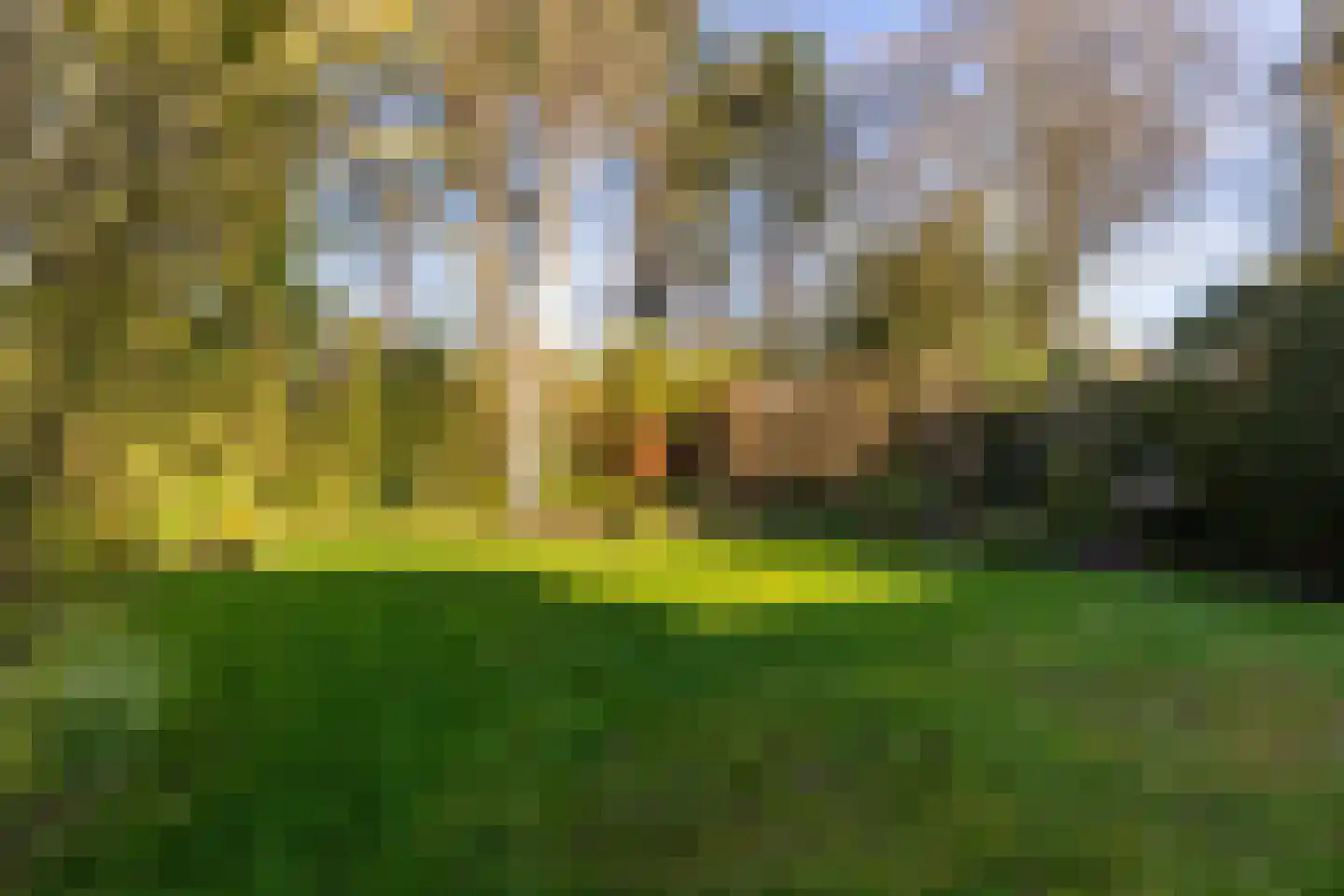 Nachtegalenlaan 32 Oostvoorne foto 3