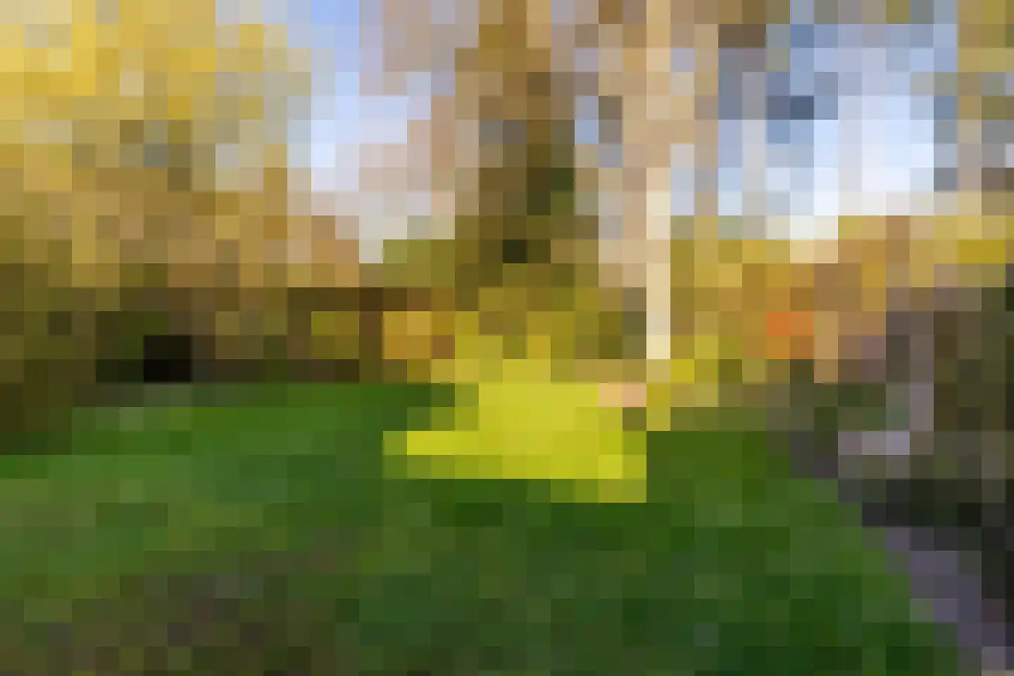 Nachtegalenlaan 32 Oostvoorne thumbnail 31
