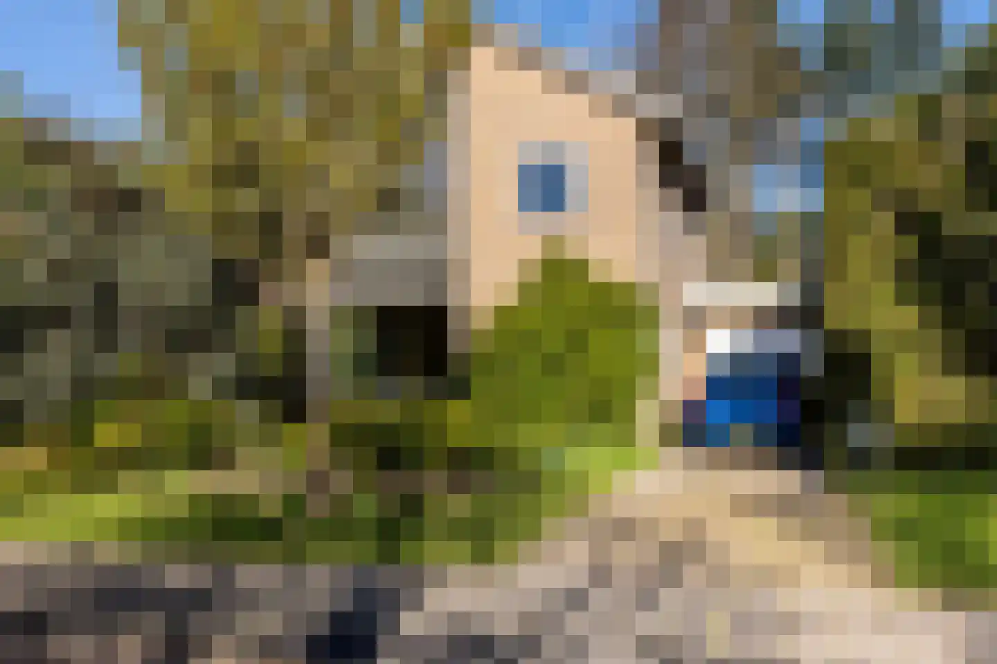 Nachtegalenlaan 32 Oostvoorne thumbnail 5