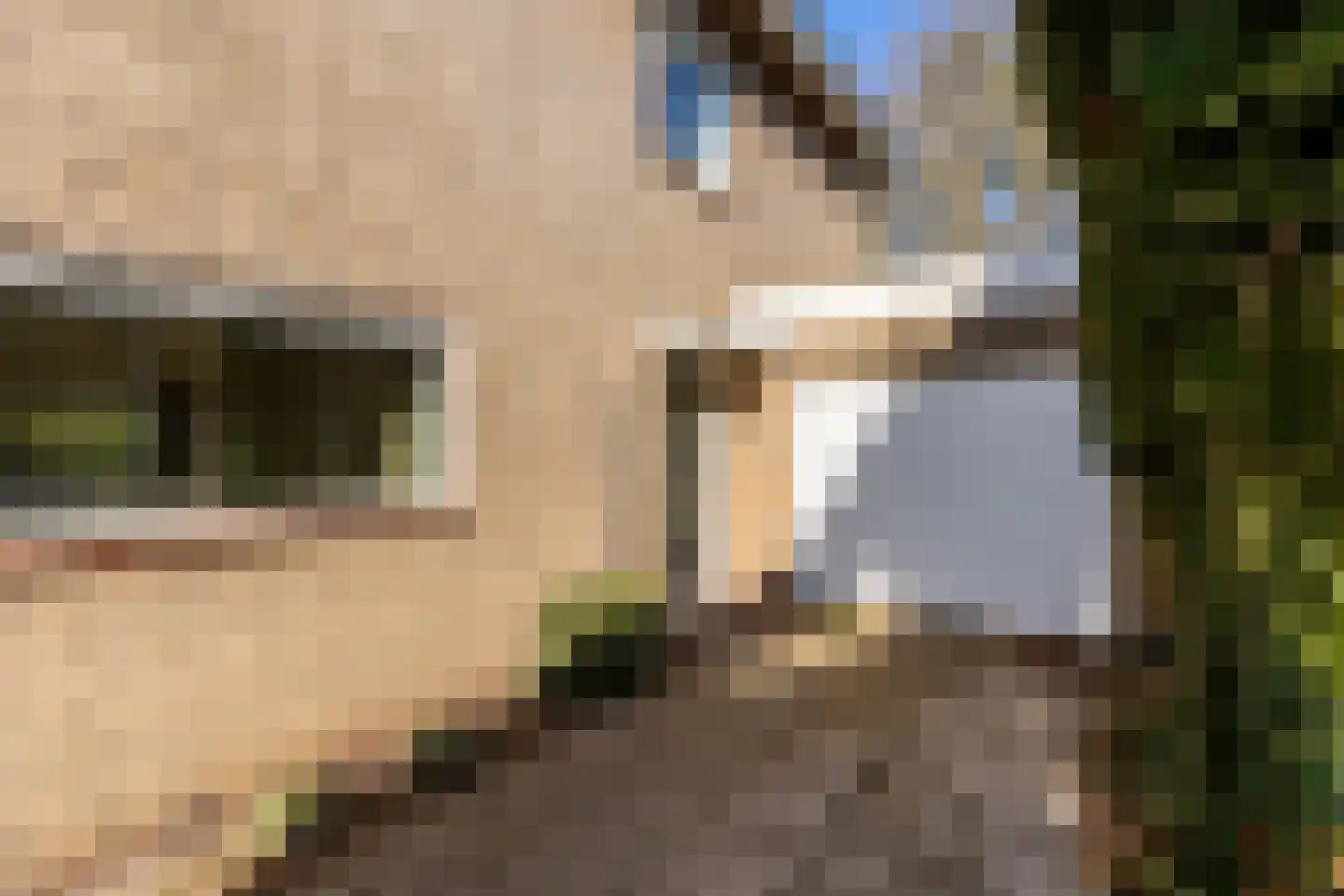 Nachtegalenlaan 32 Oostvoorne thumbnail 6
