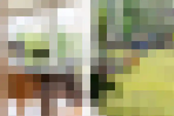 Nachtegalenlaan 8 Oostvoorne thumbnail 17