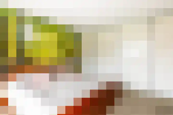 Nachtegalenlaan 8 Oostvoorne thumbnail 29