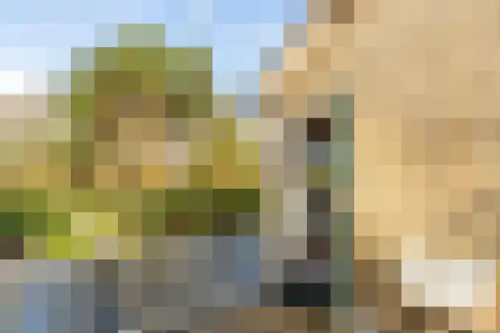 Nachtegalenlaan 8 Oostvoorne thumbnail 35