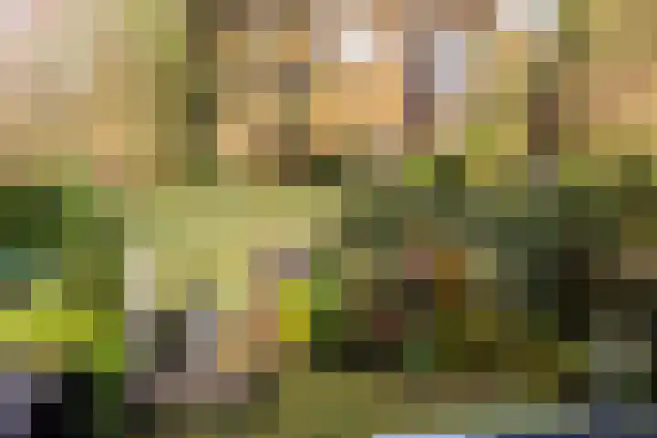 Nachtegalenlaan 8 Oostvoorne thumbnail 36