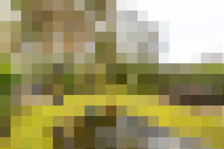 Nachtegalenlaan 8 Oostvoorne thumbnail 4
