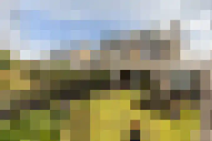 Nachtegalenlaan 8 Oostvoorne thumbnail 41