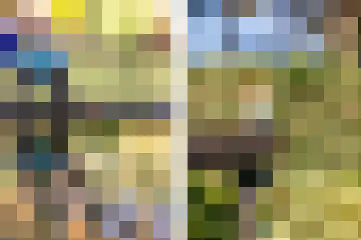 Nachtegalenlaan 8 Oostvoorne thumbnail 43