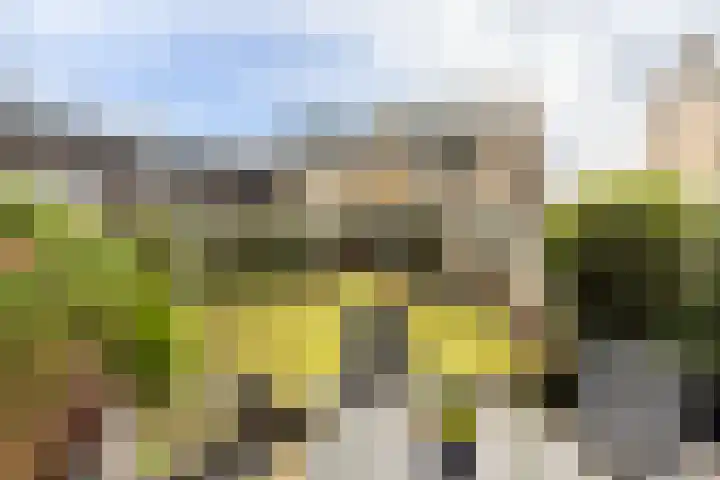 Nachtegalenlaan 8 Oostvoorne thumbnail 45