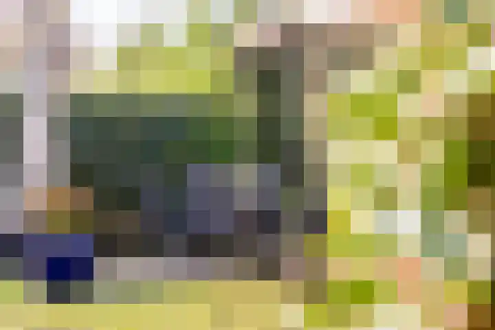 Nachtegalenlaan 8 Oostvoorne thumbnail 46