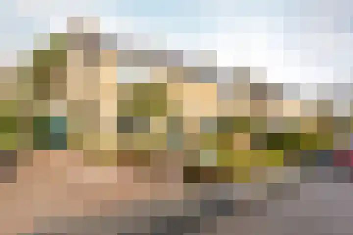 Nachtegalenlaan 8 Oostvoorne thumbnail 5