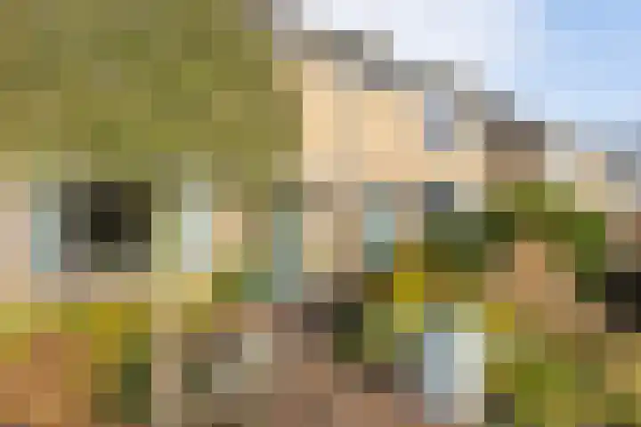 Nachtegalenlaan 8 Oostvoorne thumbnail 6