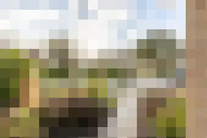 Nachtegalenlaan 8 Oostvoorne thumbnail 7