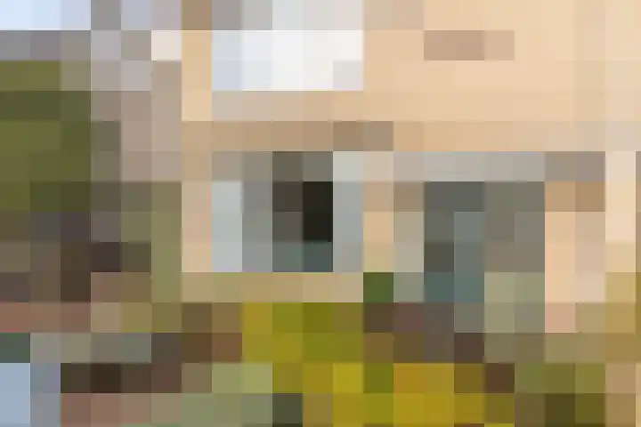 Nachtegalenlaan 8 Oostvoorne thumbnail 8