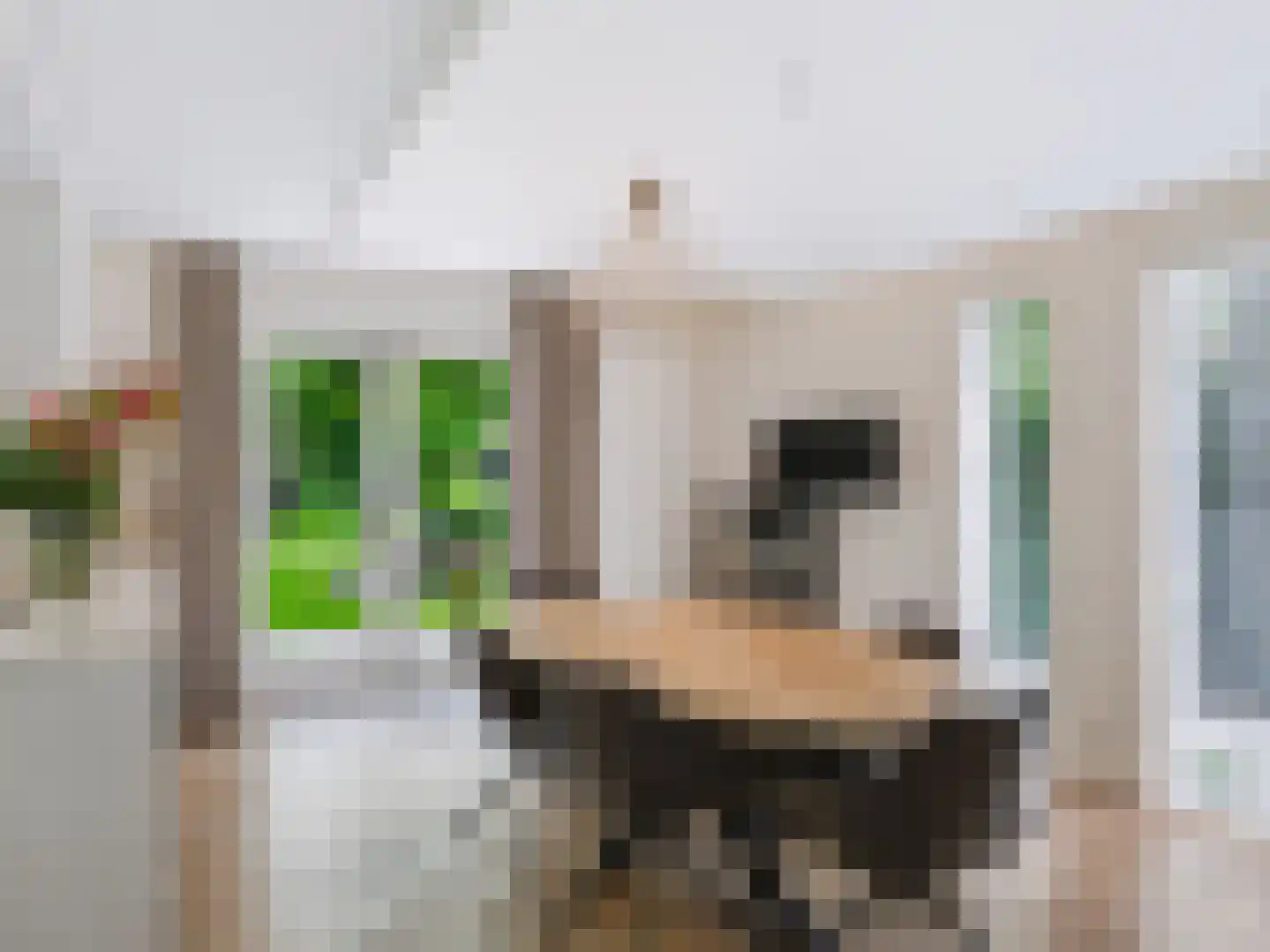 Nachtegalenlaantje 14 Bergen (NH) thumbnail 10